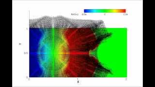 interaction of shock wave and circular cylinder (2D view)