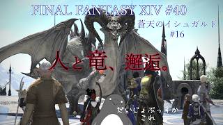 闇の戦士とかいう謎の存在に会ったけどクルルさんが可愛いのでOKです【FINAL FANTASY XIV】 #40【蒼天のイシュガルド#16】
