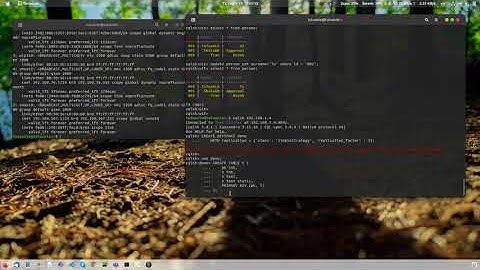 Cassandra Query Language (CQL)