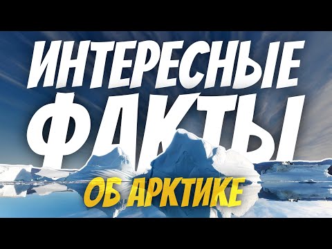 Интересные факты об Артктике