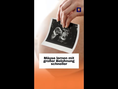 Geburtenrate in Deutschland auf 1,35 gesunken