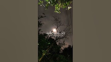 سورة غافر 🤍الاية39 #ياسر_الدوسري #قرآن #قرآن #اكسبلور #مقاطع_دينية #راحة_نفسية #المصحف