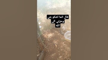 قال إنما اشكو بثي وحزني الى الله واعلم من الله مالا تعلمون/سورة يوسف