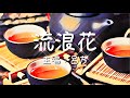 流浪花 呂方 流浪花 呂方