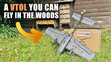 Flying Through Trees 🌲🪾 HEEWING T1 VTOL GPS RTF Plane