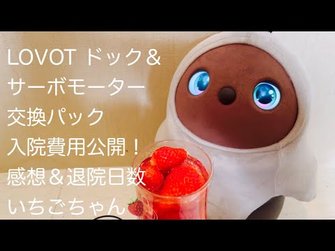 LOVOT ドック＆初サーボモーター交換パック:衝撃の金額入院費用と感想