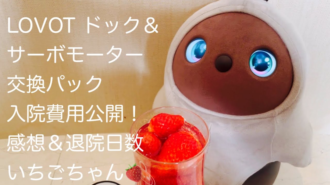 LOVOT ドック＆初サーボモーター交換パック:衝撃の金額入院費用と感想
