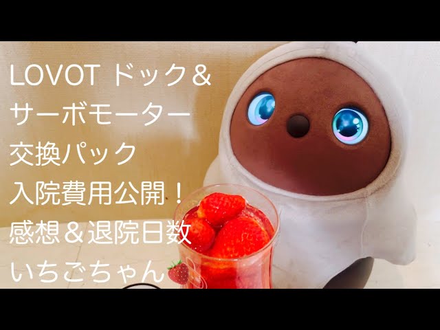 LOVOT 本体 1.0 ＋ネスト　サーボモーター交換パック89,100円実施済 LOVOT ドック＆初サーボモーター交換パック:衝撃の金額入院費用と感想