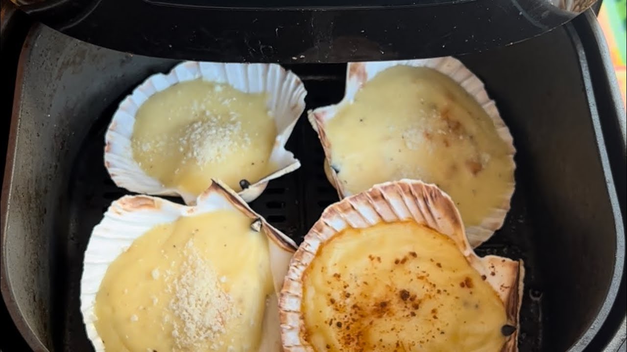 Coquilles St Jacques avec sauce béchamel facile !! - YouTube