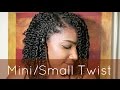 Natural Hair | Mini/Small Twist Tutorial