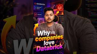 Why Companies Love Databrick.