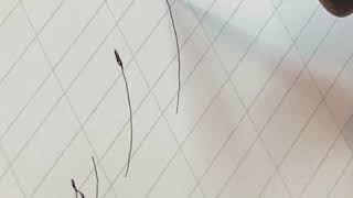 Lowercase “r” • Beginning Your Spencerian Journey Session #1