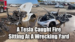Tesla Caught Fire 3 Weeks After Sitting In A Wreck Yard Due To Thermal Runaway