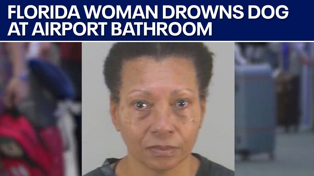 Florida woman accused of drowning her dog after not having the right ...