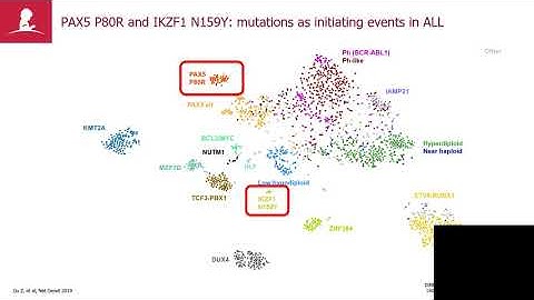 The many genomic roads to acute lymphoblastic leukemia