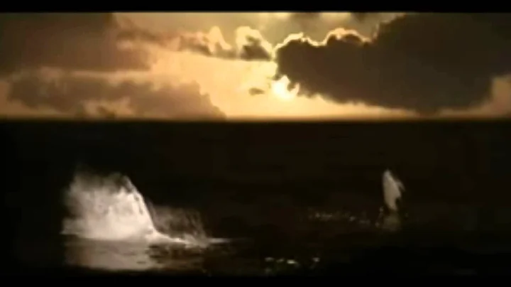 WE ARE ONE - Duet by Simmi & Zsolt - Sunbirdsmusic...