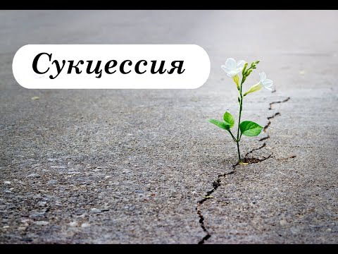День 3. Тема 2. Сукцессия