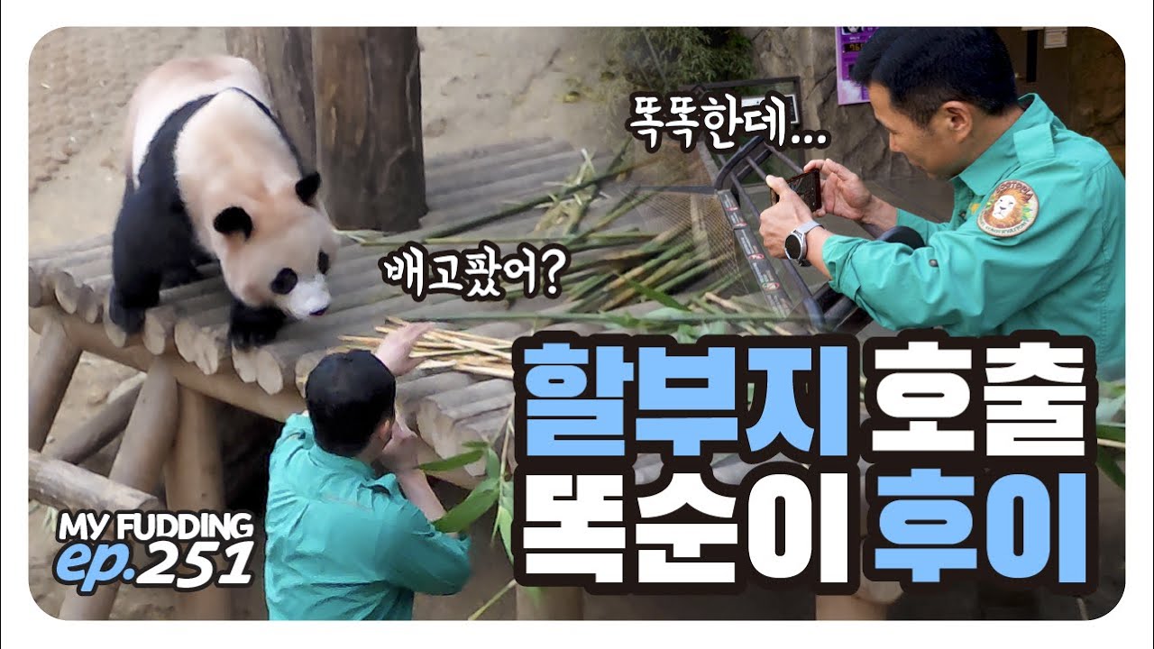 모빌 흔들어 할부지 나오게 한 후이👍 확실히 표현하는 똑순이