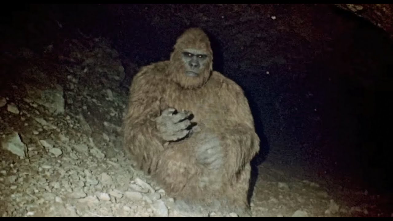 Scientists Are Stunned Shocking BIGFOOT Footage Caught on Camera In Ohio!