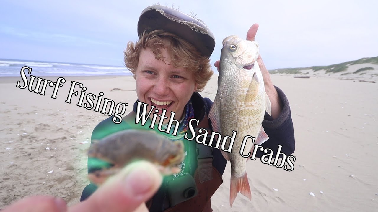 Finding and Fishing with Sand Crabs--Personal Best Surf Perch ft. Pk Yi  (Oregon Surf Fishing) 
