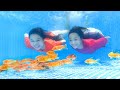 Làm Bể Bơi Cá Vàng ❤ Bắt Cá Bể Bơi Siêu To ❤ Trang Vlog