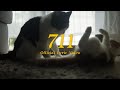 TONEEJAY - 711 (Official Lyric Video)