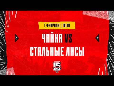 1.02.2024. «Чайка» – «Стальные Лисы» | (OLIMPBET МХЛ 23/24) – Прямая трансляция