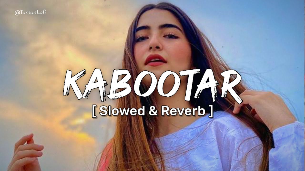 Udd Jaiye Re Kabootar  Slowed  Reverb  Renuka Panwar  Pranjal Dahiya  Haryanvi Songs Lofi