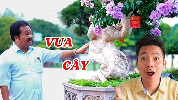 Người đàn ông mê cây nhất Việt Nam, chi núi tiền gom sạch vườn chỉ để lấy 1 cây - ĐỘC LẠ BÌNH DƯƠNG