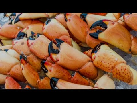 Video: Sunt crabii de piatră în sezon?