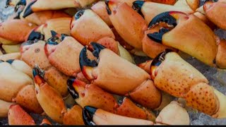 Unlike other crab fishing, stone crabs are harvested only for their
claws. it's against the law to keep whole when fishing.