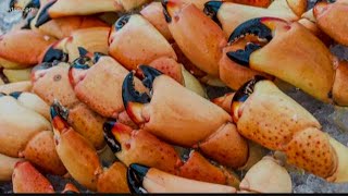 Everything to know about stone crab season in Florida