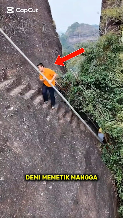 Pria Ini Harus Menaiki Tangga Paling Berbahaya Di Dunia! #shorts #inforandom #trending