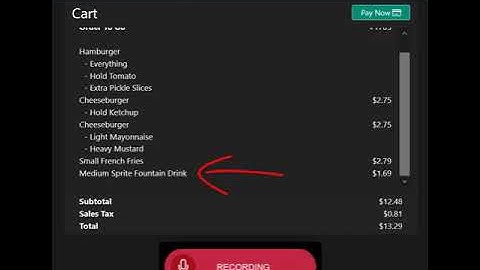 Xina AI Restaurant Voice Ordering Application Instructional