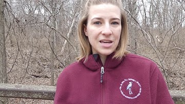 Citizen Science: Identifying Plants with iNaturalist
