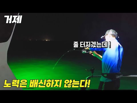 정말 어렵지만 잡아보면 <strong>엔돌핀이</strong> 폭발하는 낚시! 여러번의 시도끝에 성공했습니다