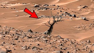 NASA Mars Perseverance Rover Sent New 4k Video of Mars on Sol 1084 | Mars 4k Video | 4k Mars Video
