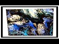 Acrylic Pour/Fluid Art Video - My 2nd attempt at Wings. Stormy Sea