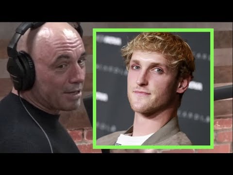 Joe Rogan Reacts to Logan Paul Slap KO Video