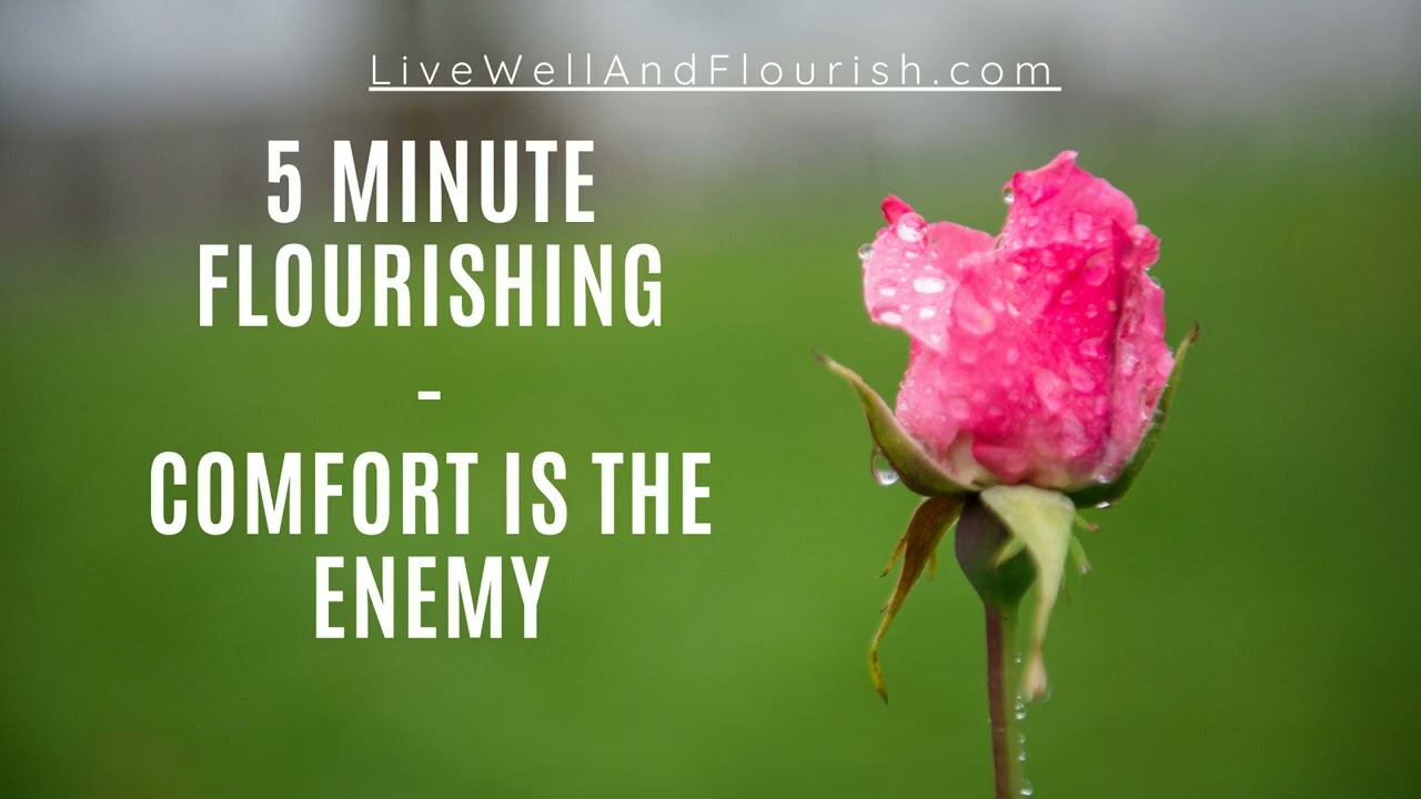 Comfort Is The Enemy