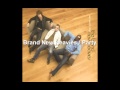 Brand New Heavies / Party