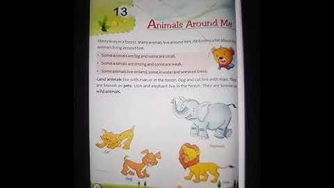 EVS Chapter 13 Animals Around Me (6.10.20)