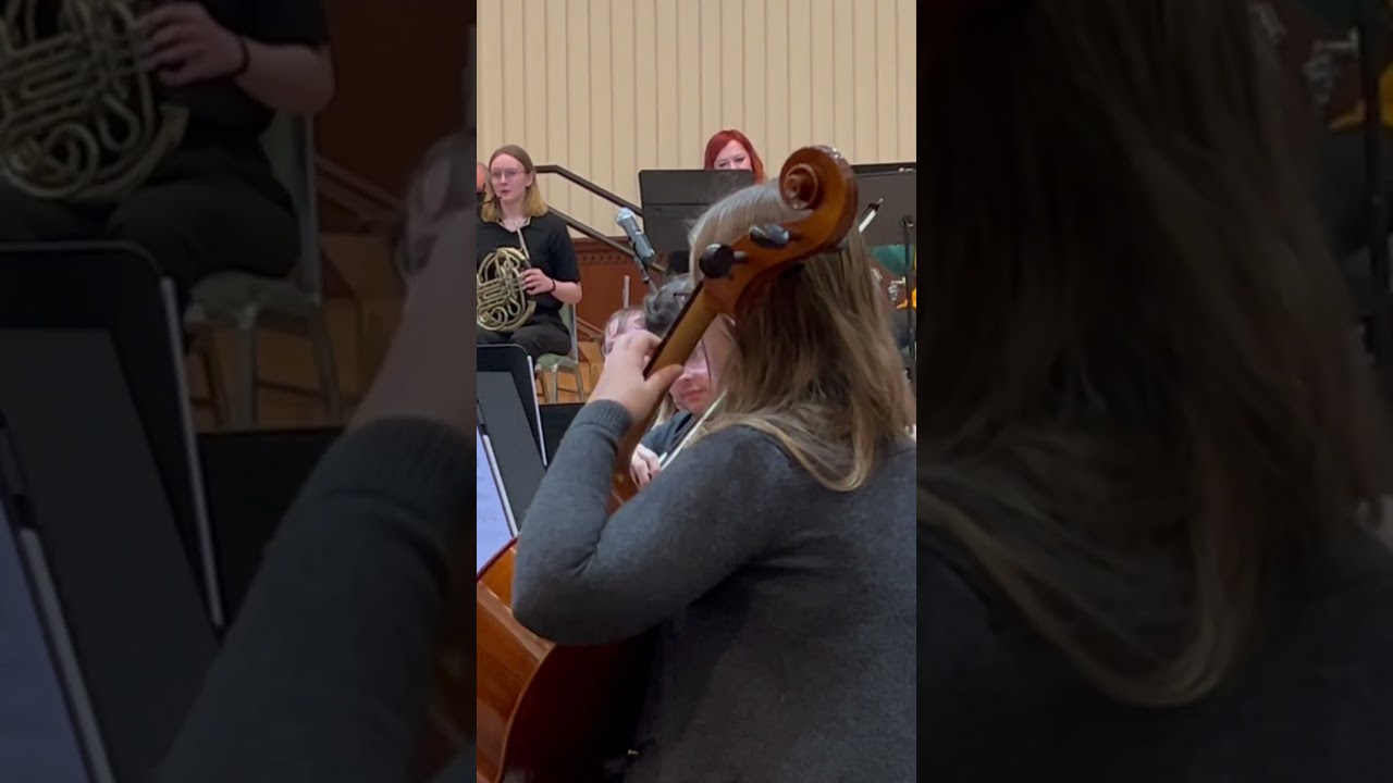 Zelda 25th anniversary theme (the Video Game Symphony in NE Ohio)