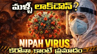Is Nipah Virus More Dangerous Than COVID-19? || Reddy facts in Telugu|| #viral #trending #nipahvirus