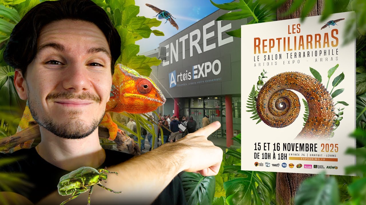 Bienvenue, au salon Les Reptiliarras ! (La petite sœur de Les Reptiliades)