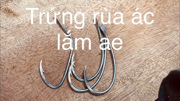 Trứng rùa cổ điển vẫn rất là ác chiến. 0983117566