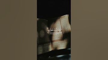 أكتب تعليق تؤجر عليه : سورة فصلت : القارئ : ياسر الدوسري #quran
