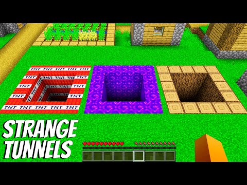 What's INSIDE the TNT PIT, PORTAL and WOODEN in Minecraft ? PORTAL pit vs TNT pit !