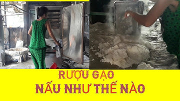 Nghề Nấu Rượu Gạo Của Mẹ Chồng Duy Trì Được 23 Năm.#AnhAnhTV