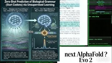 Genome modeling and design across all domains of life with Evo 2